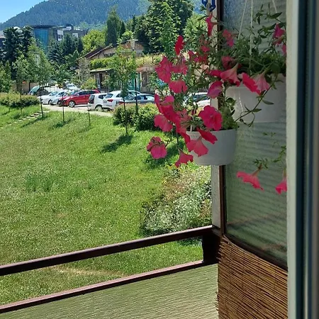 Daire View Visoko